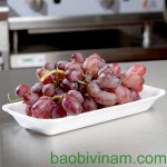 Khay xốp V58 trắng